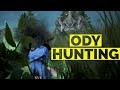 BDO - Odyllita Hunting