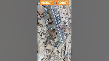 WIRELESS INSECT ROBOT🤖#science #physics #education #experiment #robot #robotics #technology #diy