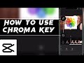 How To Use Chroma Key in CapCut