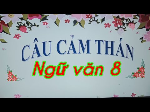 Video Ngữ văn 8: Câu cảm thán - youtube