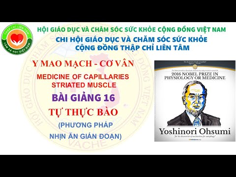 Video BÀI 0016: (12/11/2021) NHỊN ĂN GIÁN ĐOẠN 16/8 - TỰ... - youtube