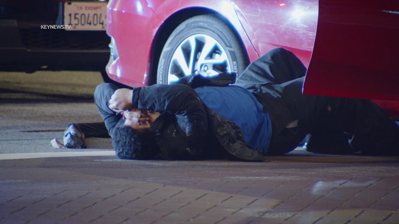 Suspected DUI Driver in Custody After Collision Involving LAPD Vehicle ...