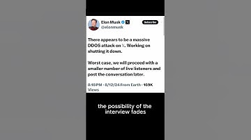 Elon X DDOS Attack