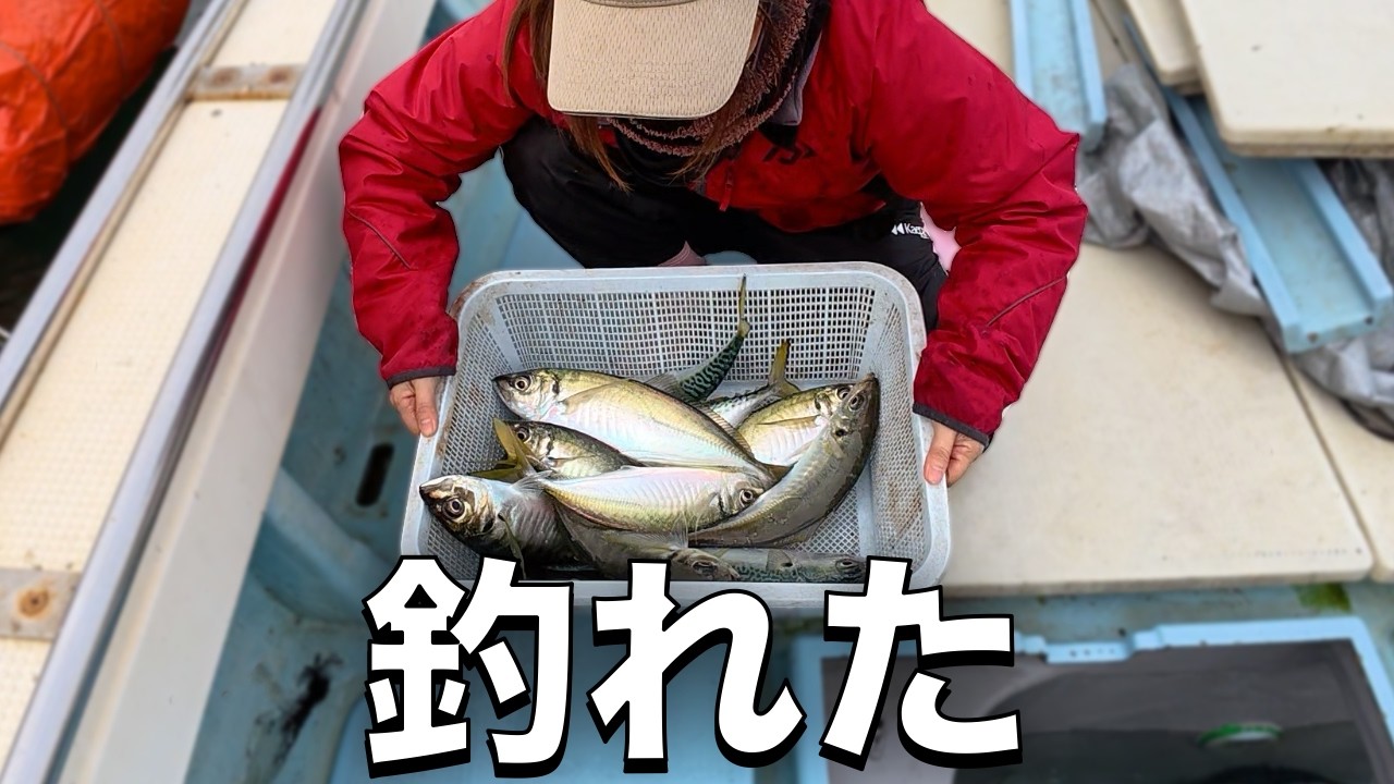 時間が無い！爆裂おかんと佐賀関沖で鯵・鯖釣り