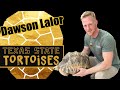 Dawson lalor from texas state tortoises