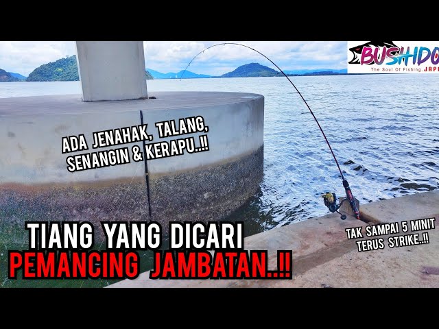 ADA IKAN BESAR BAWAH TIANG NI | JAMBATAN KEDUA PULAU PINANG class=