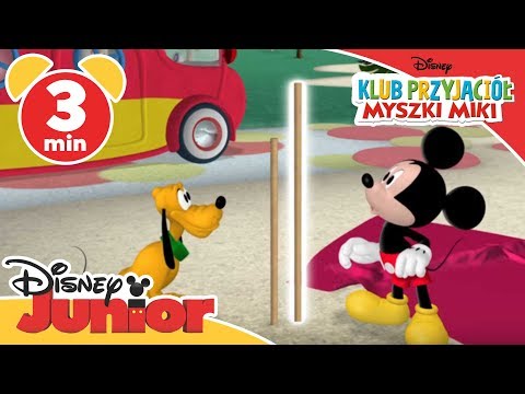 Klub przyjaciół Myszki Miki  - Biwak- Oglądaj w Disney Junior