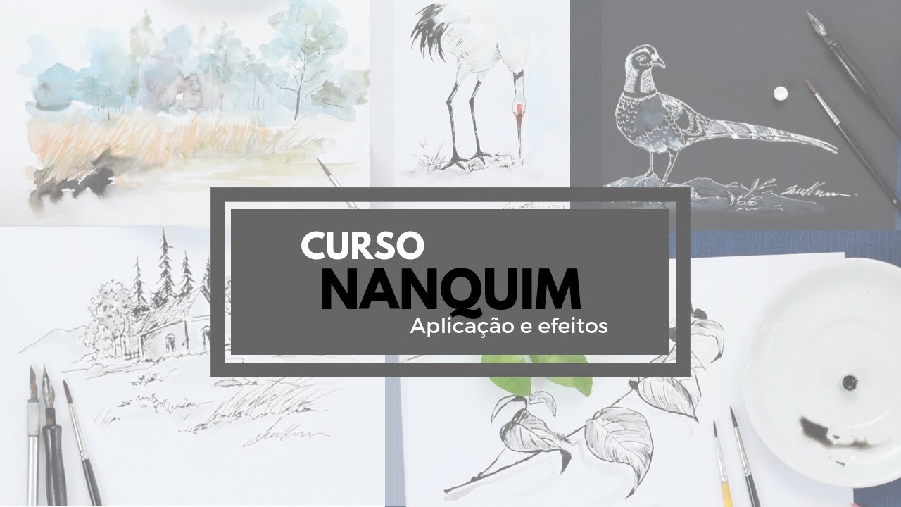 Curso de Nanquim :: Apresentação :: Rosinha Imthurm