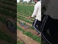 JAYANTILAL M PANCHAL | 8758069698,9925277130|#powerweeder #nanotractor #powertriller #agriculture