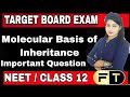 Importan topics of molecular basis of inheritance class 12