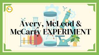 Avery, McLeod & McCarty Experiment | DNA as the Genetic Material