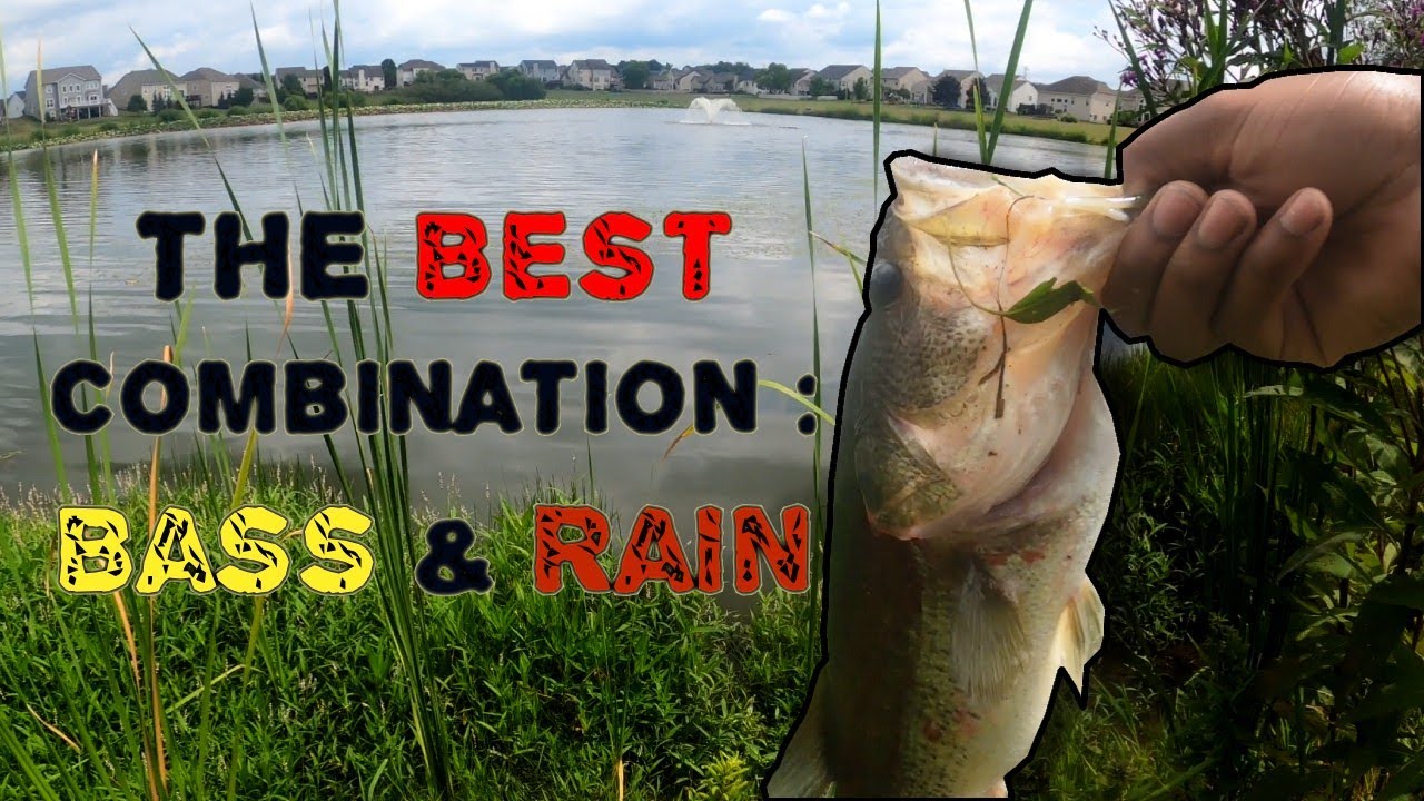 The Downpour Was Crazy! | Bass Fishing