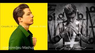 Video thumbnail of "We Don't Love Anymore - Charlie Puth feat. Selena Gomez vs. Justin Bieber (Mashup)"