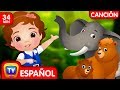 Vamos a ir al bosque (Colección) - Animales Salvajes | Canciones Infantiles Populares de ChuChu TV