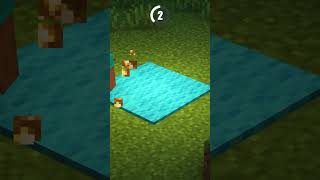 Minecraft Hidden Lighting Carpet Glowstone Trick