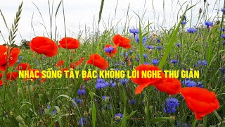 Gặp Nhau Giữa Rừng Mơ - Nhạc Sống Tây Bắc Không Lời 2021 - Nhạc Test Loa Đám Cưới Vùng Cao Tây Bắc