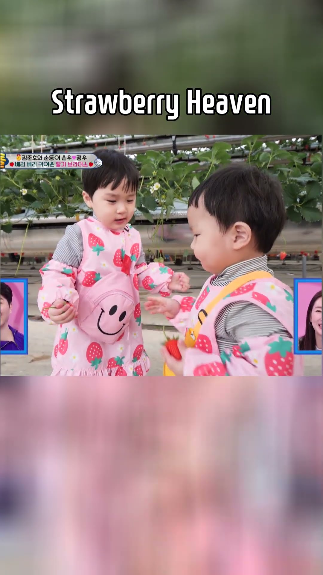 Strawberry Heaven? #TheReturnofSuperman | KBS WORLD TV