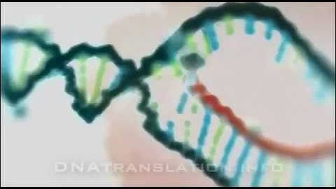 Protein synthesis (DNA transcription, translation and folding)