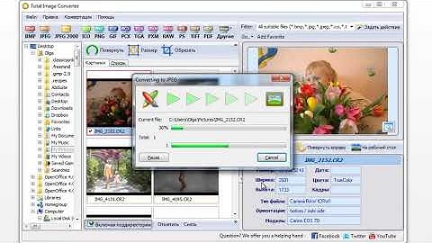 How to convert CR2 to JPEG in 3 clicks