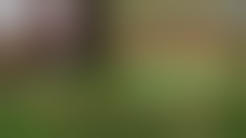 الشيخ سعيد الحرشني // سورة مريم كاملة