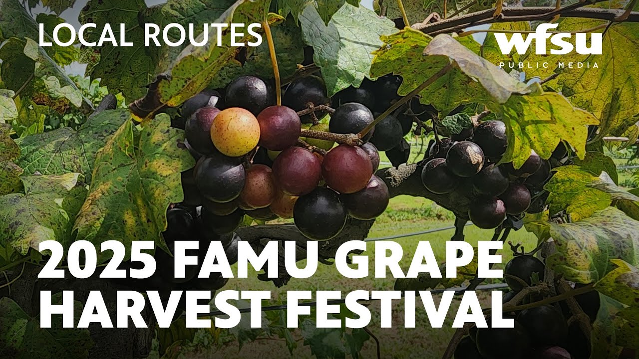 2025 FAMU Grape Harvest Festival