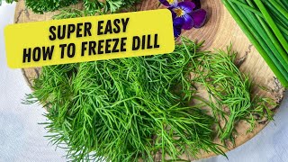 How to Freeze Dill for MAX Flavour!
