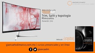 Rhinoceros - Trim (Split) y topología