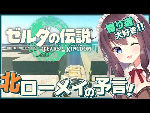 【ゼルダの伝説ティアーズオブザキングダム】北ローメイ城跡上層地底の予言!寄り道大好き【ティアキン 女性実況 Vtuber なちゅモカ 初見 ライブ配信】#85