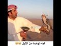 خبالة سعودي