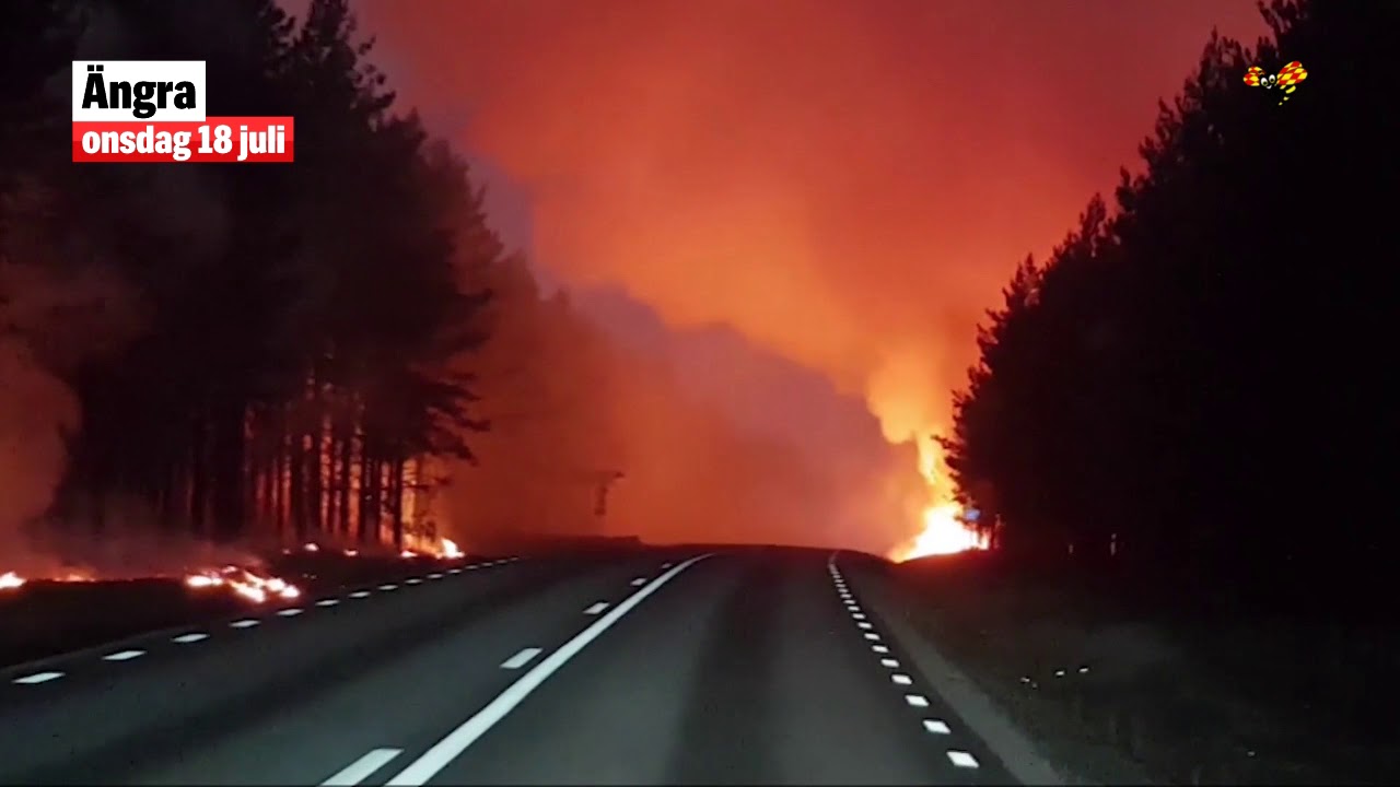 Se dramatiska bilderna från skogsbränderna