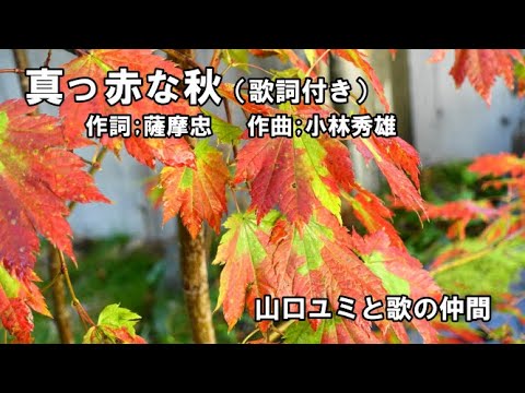 真っ赤 な 秋 歌詞 意味