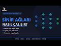Sinir Ağları Nasıl Çalışır? | Nöron, Ağırlık, Katman