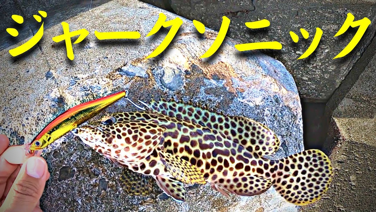 112 初心者でも簡単に釣れるルアー「ジャークソニック」を使ってみた