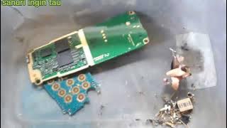 process an old Nokia cellphone and see the results