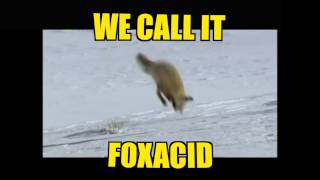 Information FOXACID News