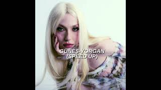 Güneş-Yorgan (Speed up)