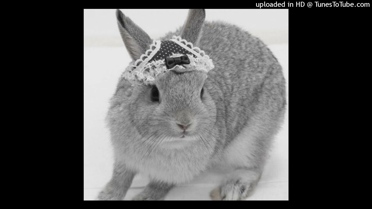 [FREE] scenecore x club x dance type beat "inaya" + HellA