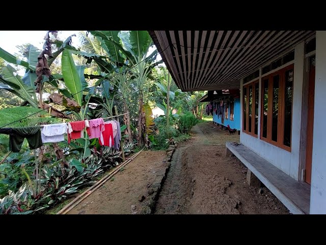 Begitu Hening Dikampung Ini, Mengintip Aktivitas Warga kampung tengah sawah class=