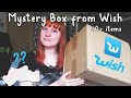 Mystery Box from Wish? / Review
