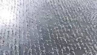 Bonifacio inundado desde el aire