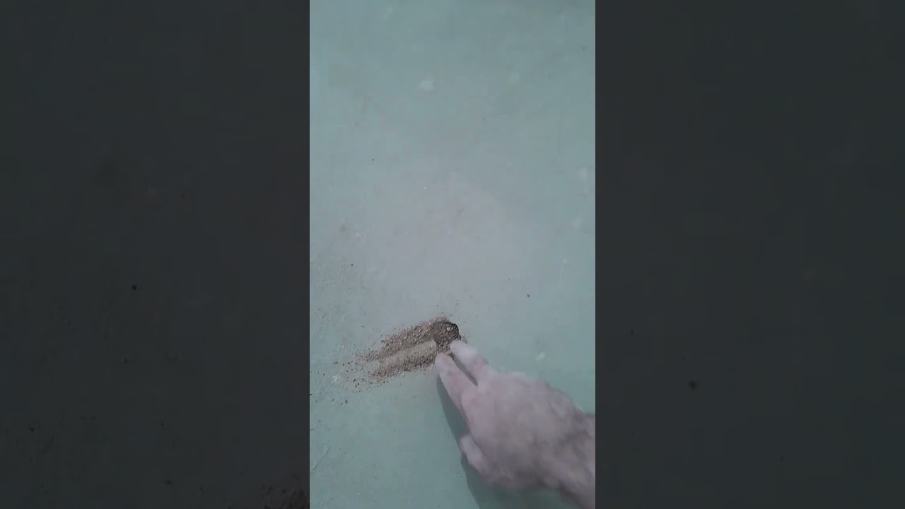 31 января 2024 г.