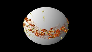 Particles forming larger polymers on a sphere