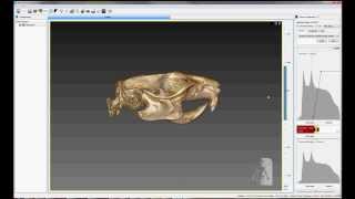 MI-Viewer - Volume Rendering