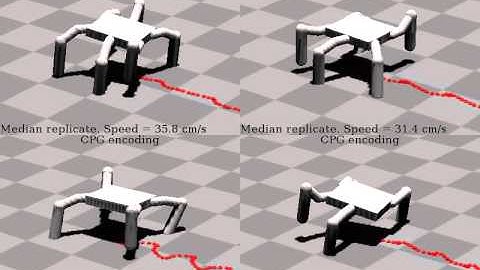 Central pattern generators