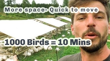 A NEW SUPER LOW-COST PASTURED BROILER MODEL S4 ● E95