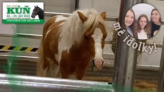 Výstava koní 🐴 || vlog