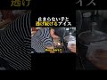 ただただ見守るしかない #youtubeshorts