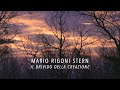 Mario Rigoni Stern "Il Brivido della Creazione"