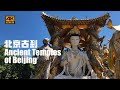 [4K] Discovering Beijing's Ancient Temples: The History and Charm of Tanzhe, Baiyun, and Baipu