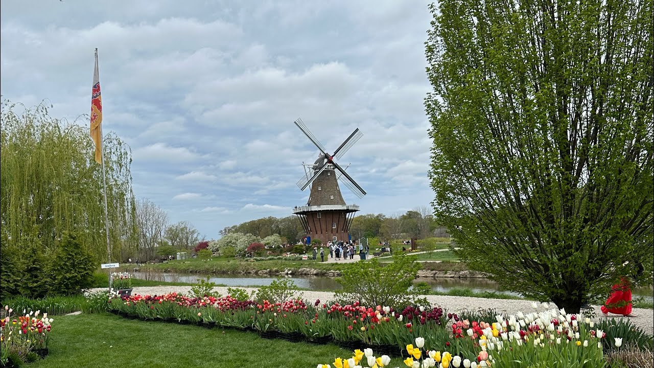 Holland MI Tulip Time Festival